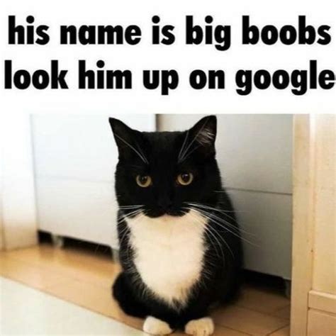 big boobs Search